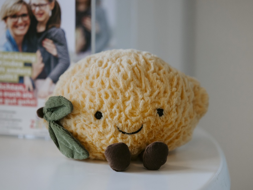 Das Suesse Zitronen Maskottchen zum Kuscheln